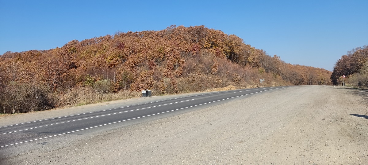 До ближайших настоящих деревьев осталось ещё ...ва туча километров...