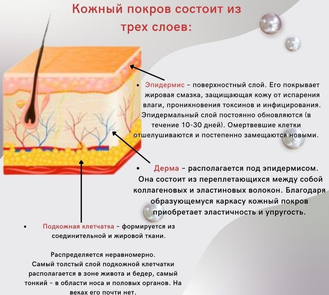 из открытого источника