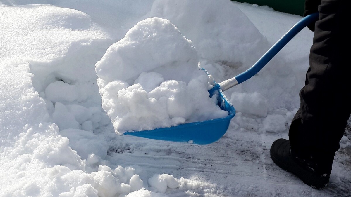    Фото: laduhis72/Shutterstock/Fotodom