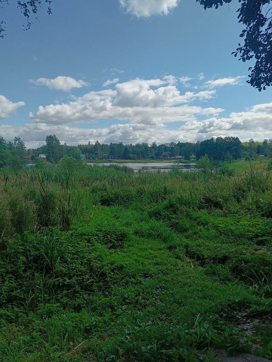 Это летний вид от родника на озеро. Сейчас там не так красиво.