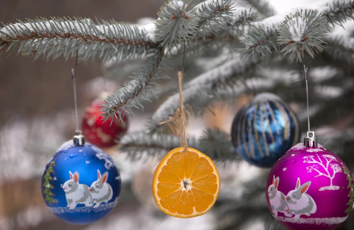    В Тюменской области мандарины могут подешеветь в преддверии Нового года