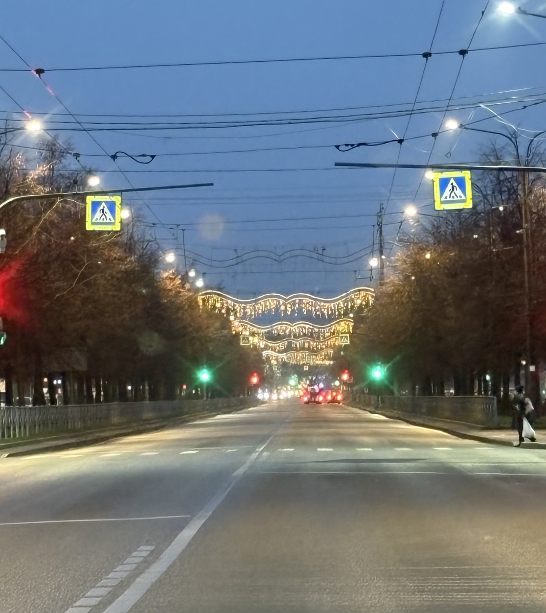 Вот и включили уже новогодние украшения.