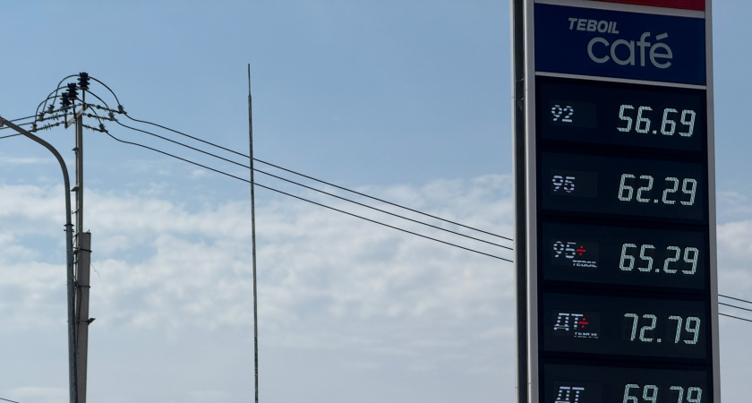    Автор фото — Анастасия Козлова