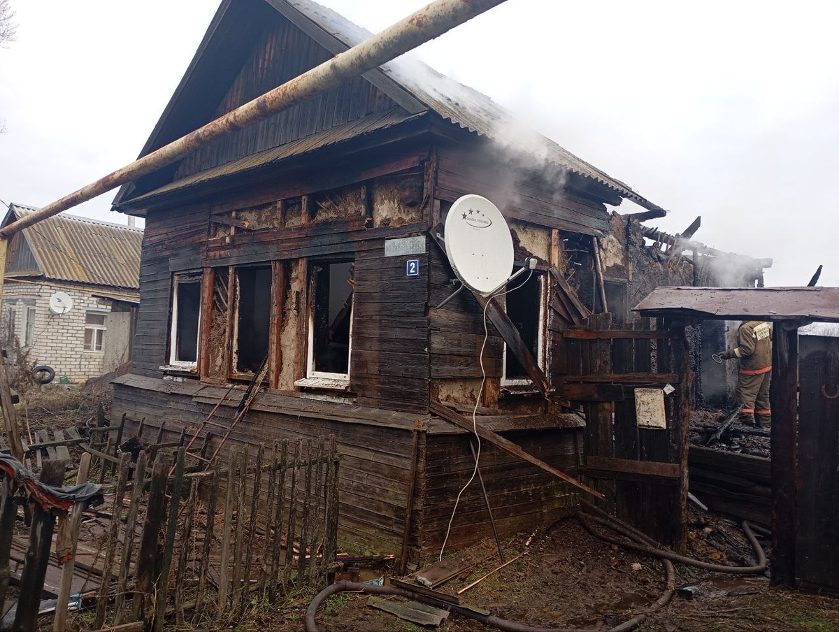 Мужчина проживал с котом