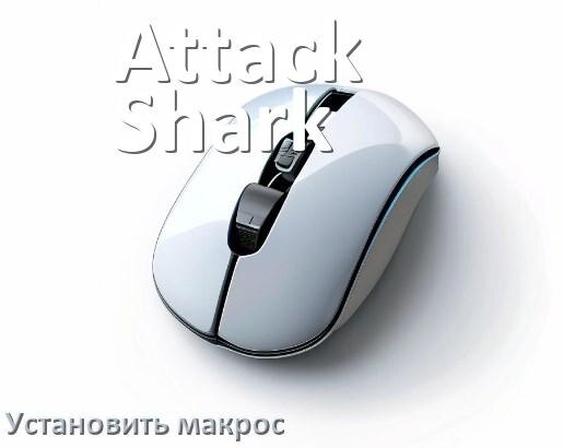 
Как на любую мышь Attack Shark установить макрос