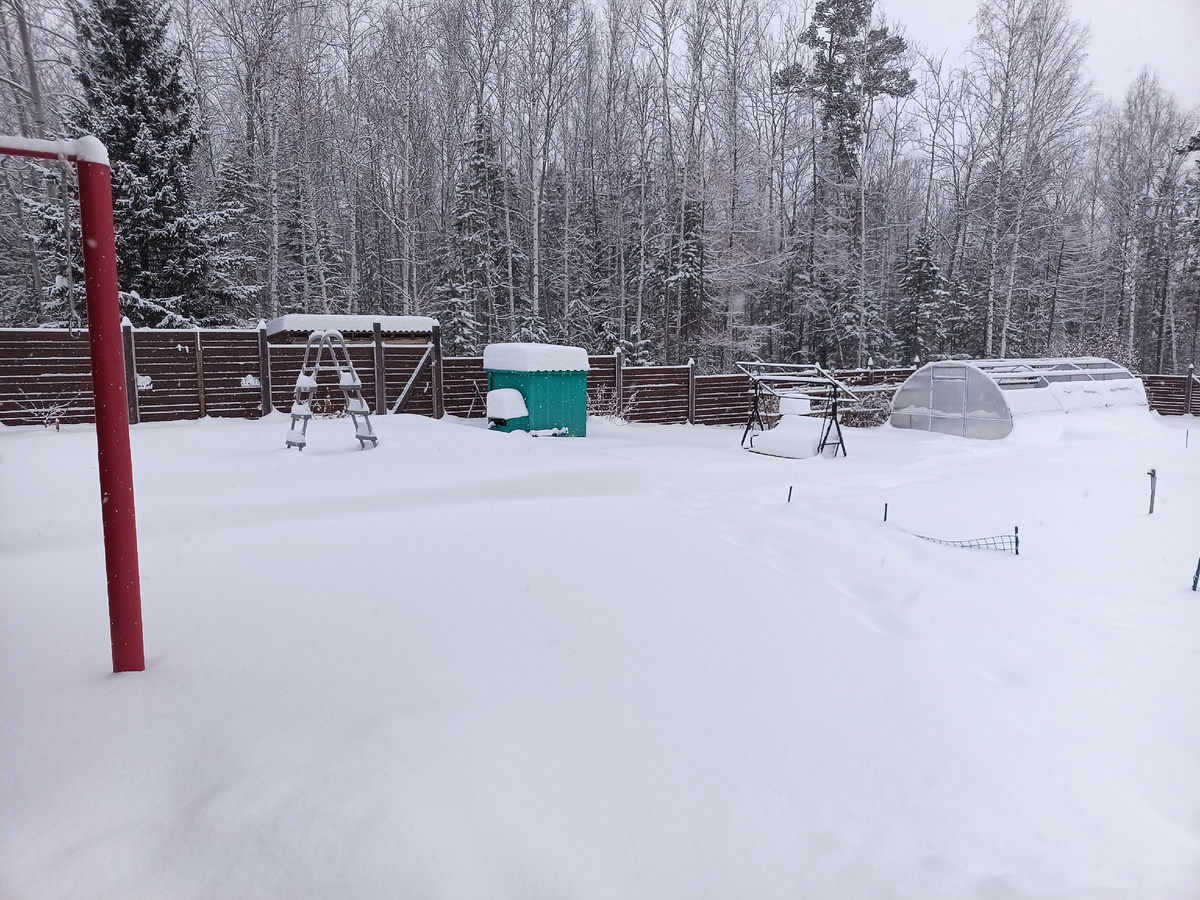 27.11.2025 ещё даже не зима на календаре)