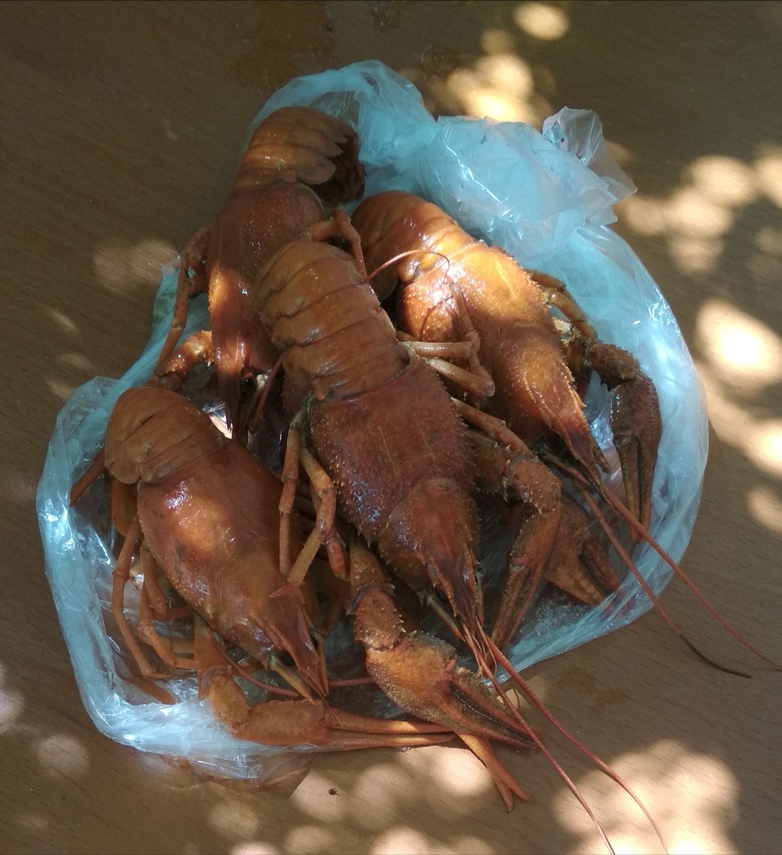 Раки так вообще что-то на богатом 