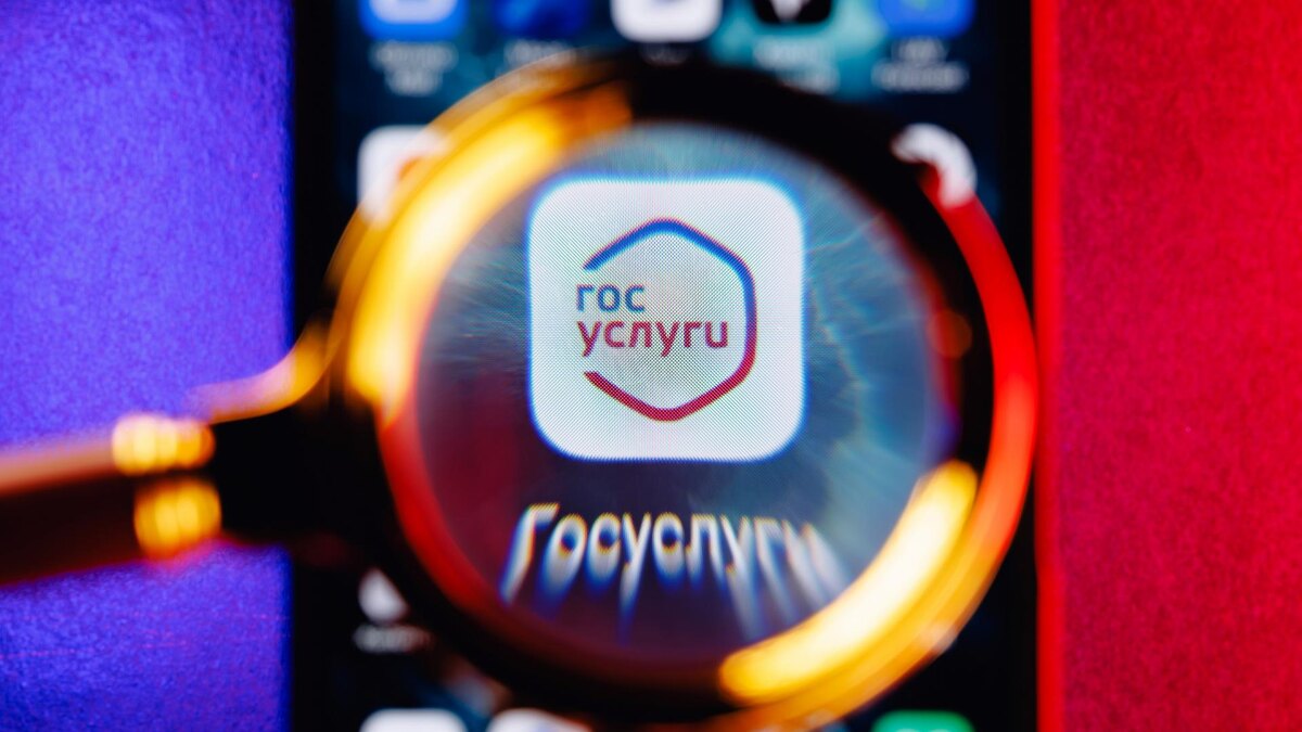 Фото: globallookpress.com/Sergey Elagin