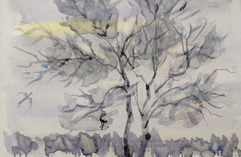 Спасибо, что рисуете со мной! Это больше, чем просто развлечение