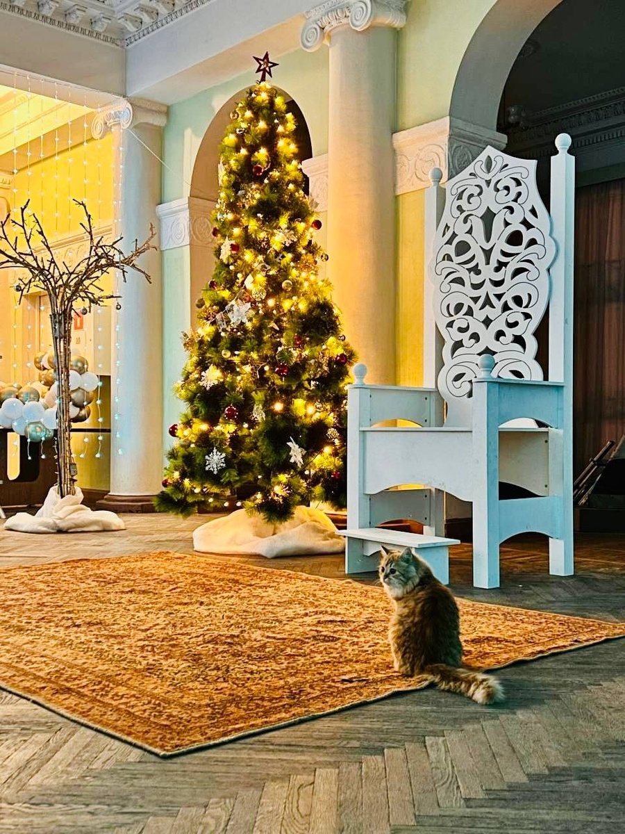    А в Волжском резиденция дедушки на днях откроется в ДК ВГС. Фото: Руслан Герасимов.