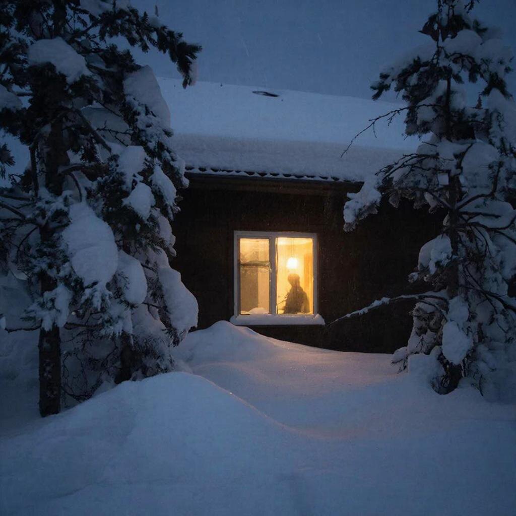 Тот особый, застывший январский мир...