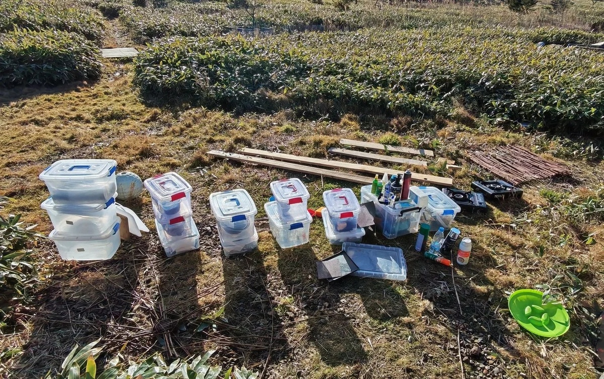 Теплый солнечный день, перемываю все прямо на улице. 