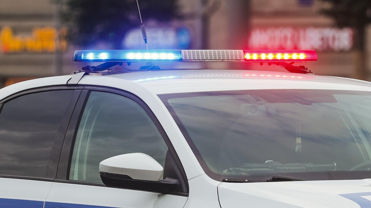    Фото: Shatokhina Natalia/news.ru