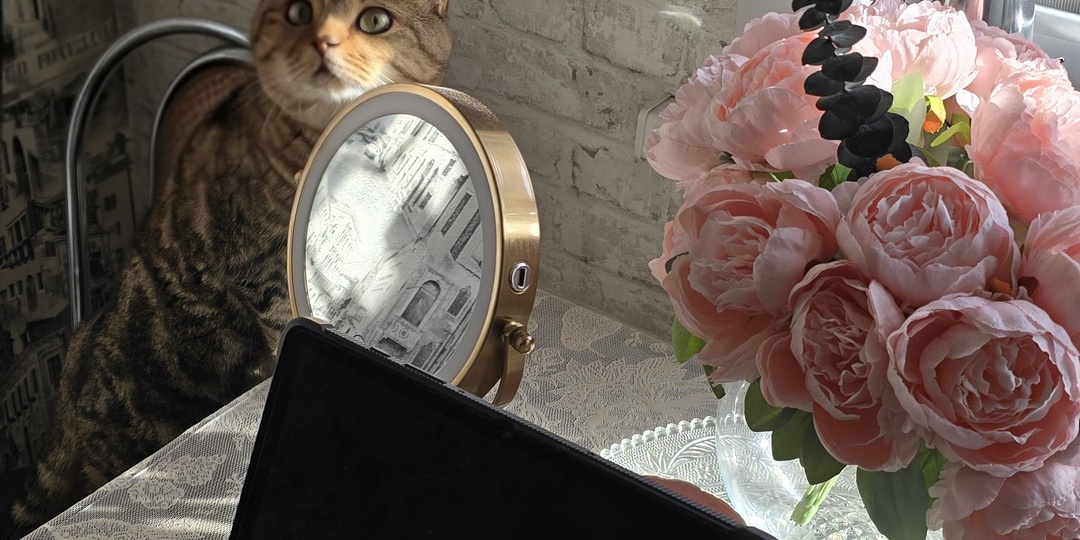 Идеи подарков к Новому году с Wildberries от 500 до 2000 рублей