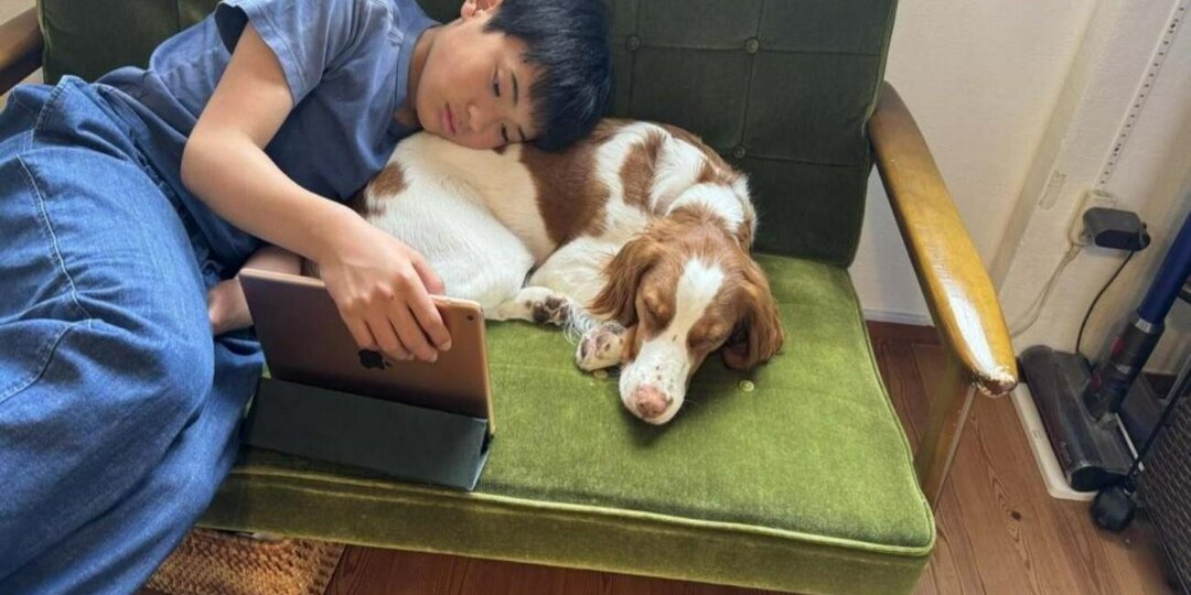 Собаки помогают подросткам развивать эмпатию и психику через микробы