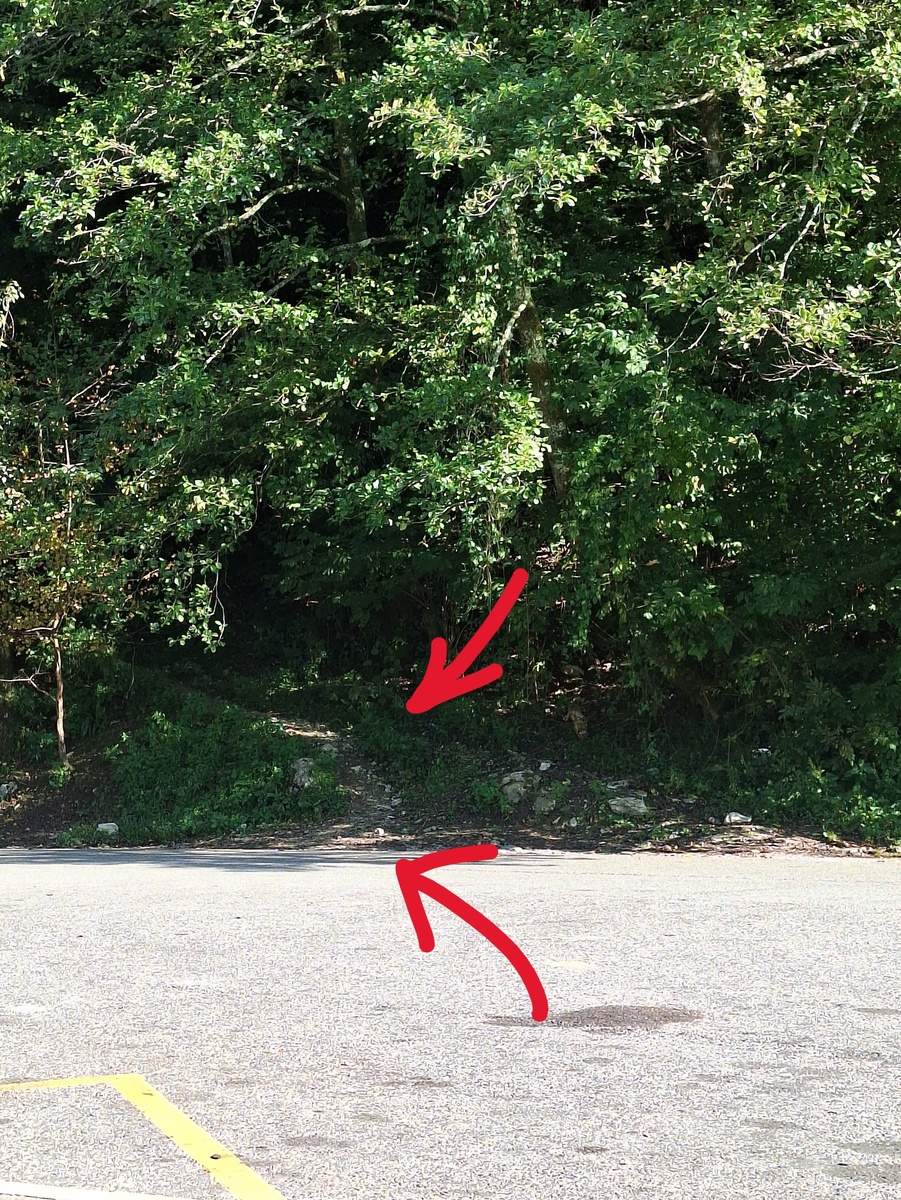 Вот эта неприметная тропка поможет сократить путь