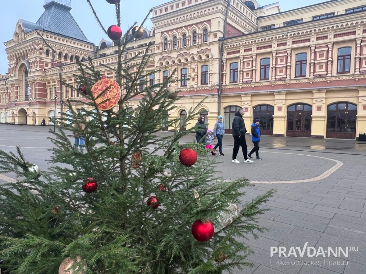    Там уже залили каток и нарядили новогоднюю елку