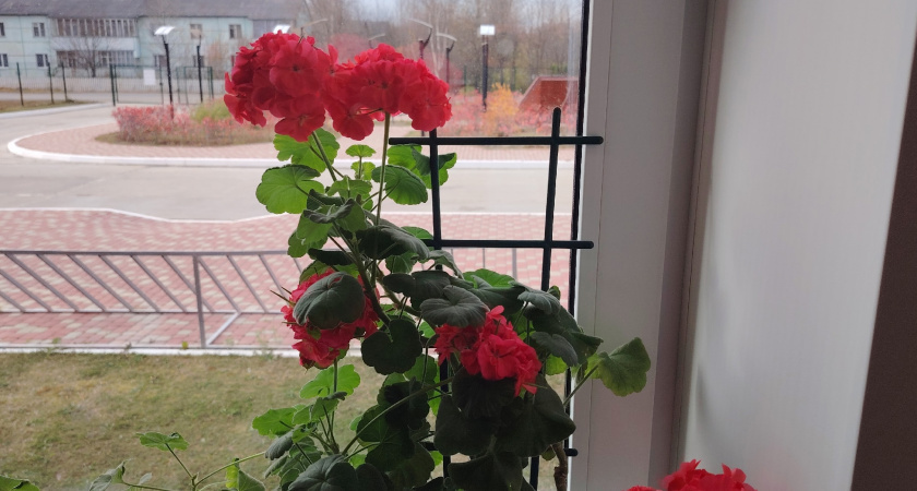    фото из архива редакции