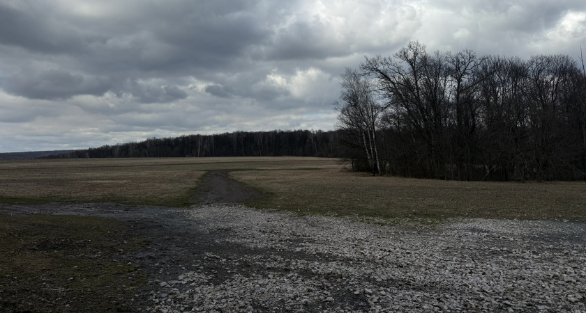    Автор фото — Анастасия Козлова