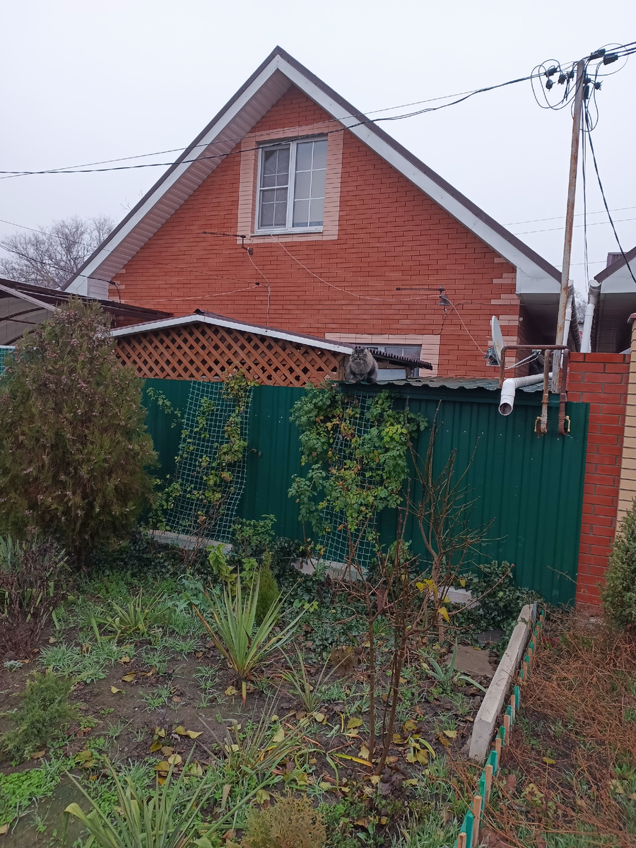 Фото автора