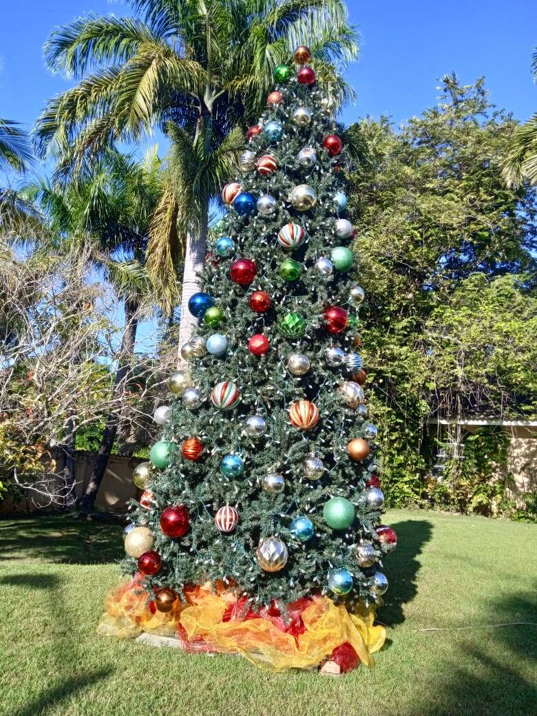 Благодарю за фото Любовь БОЙЦОВУ)