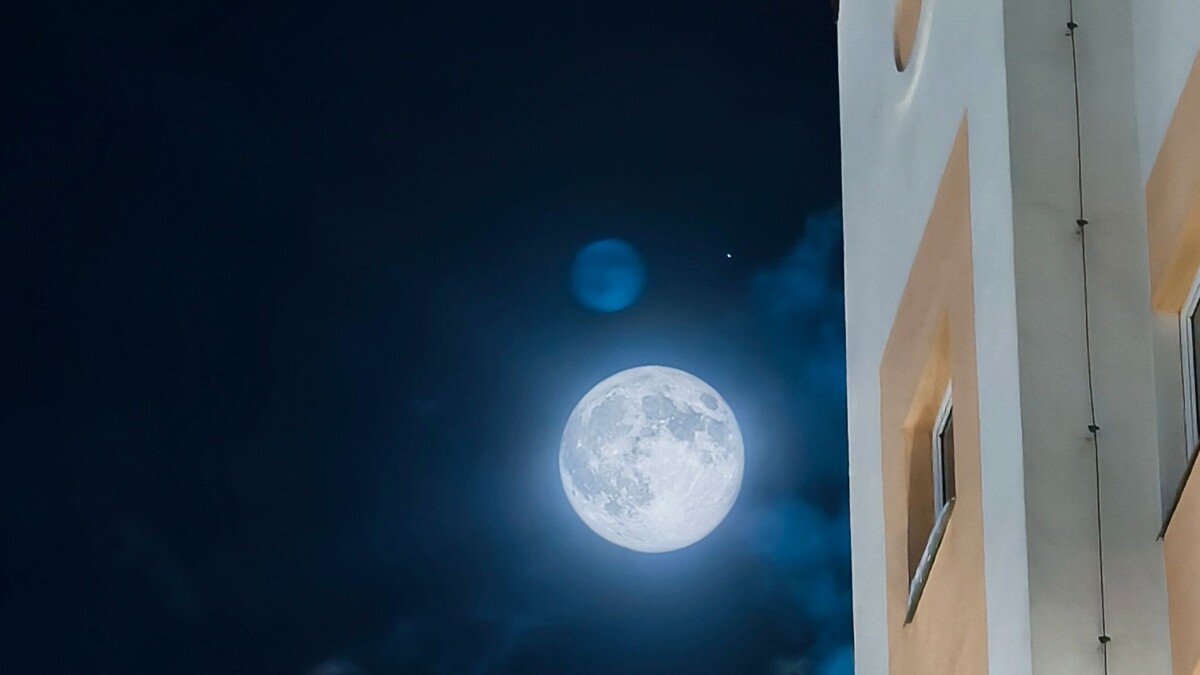    Фото: Андрей Ткачев / «Ямал-Медиа»