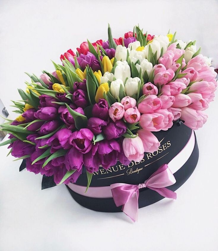 Мои любимые тюльпаны