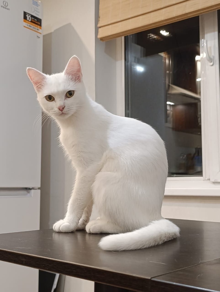 Какая же красотк выросла!