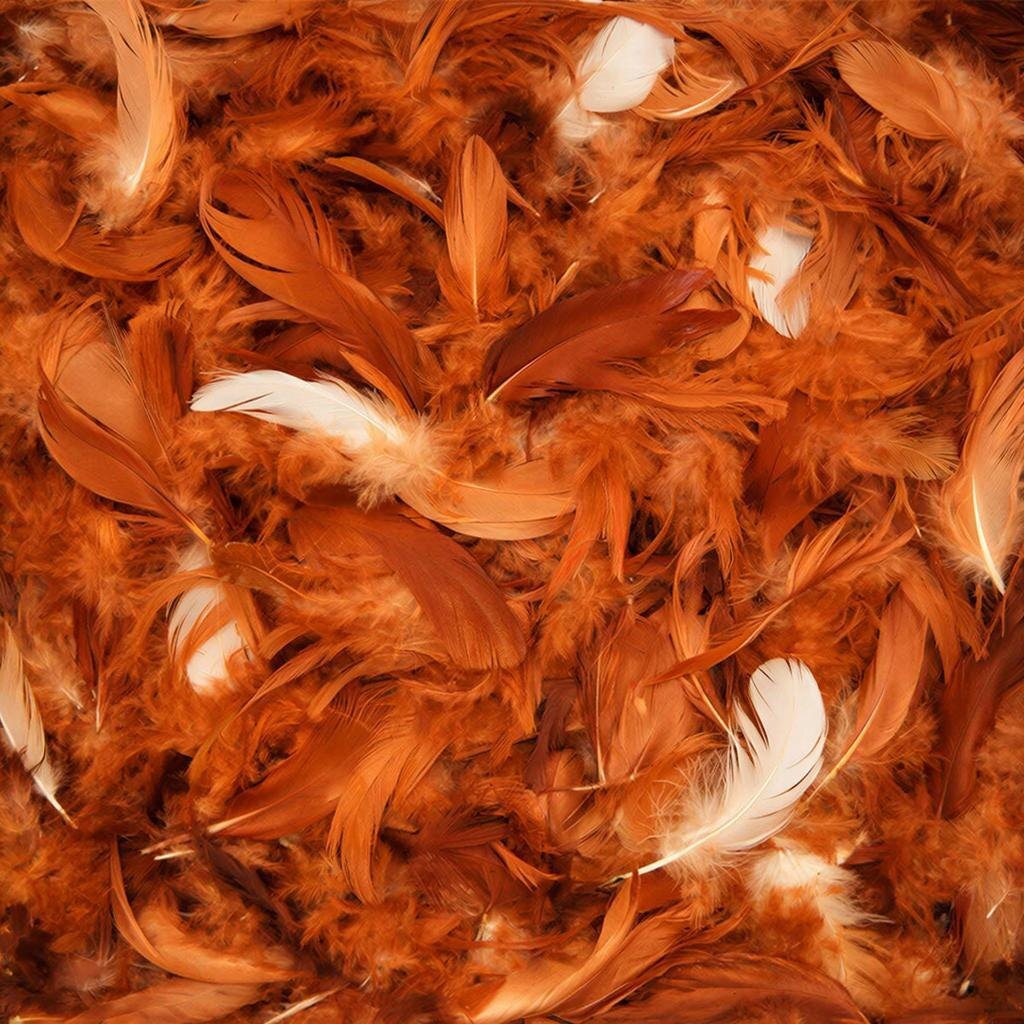 Куриные перья. Изображение сгенерировано сервисом GigaChat 