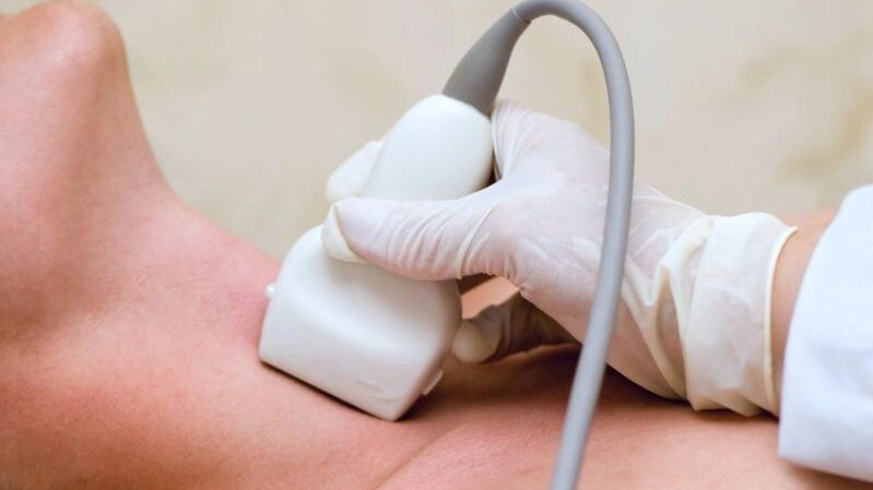    Фото: Bork/Shutterstock/Fotodom