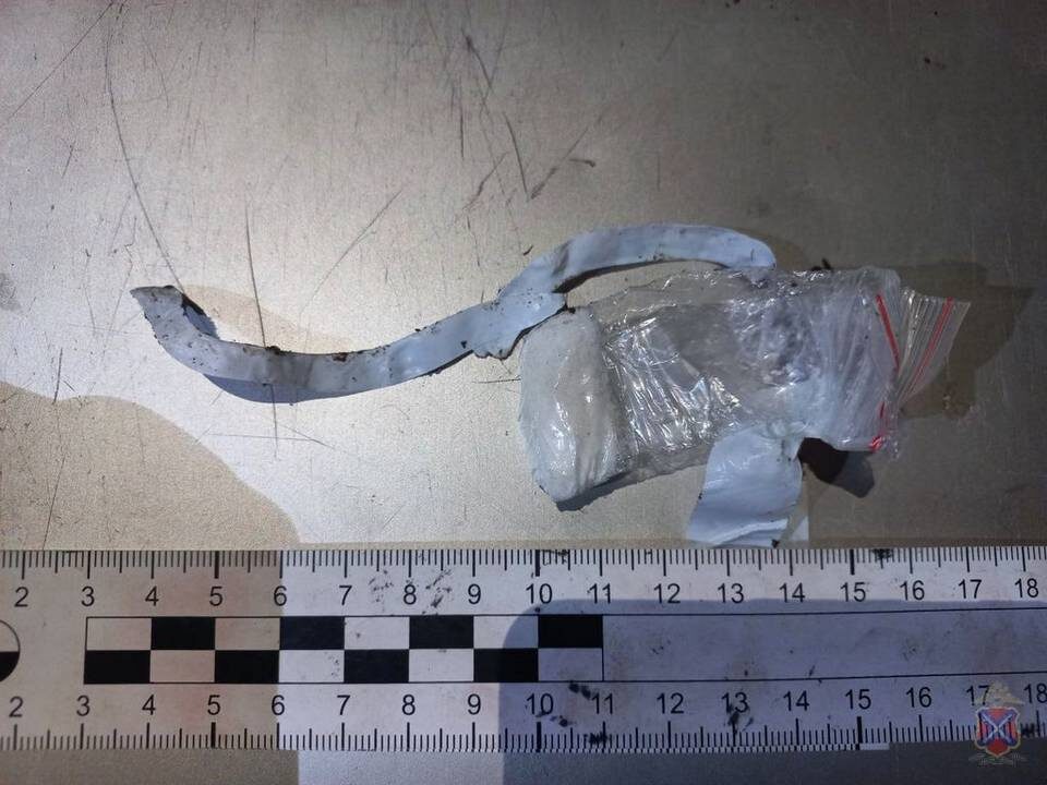    Фото: ГУ МВД по Волгоградской области