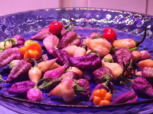 Перец сиренево-розового цвета