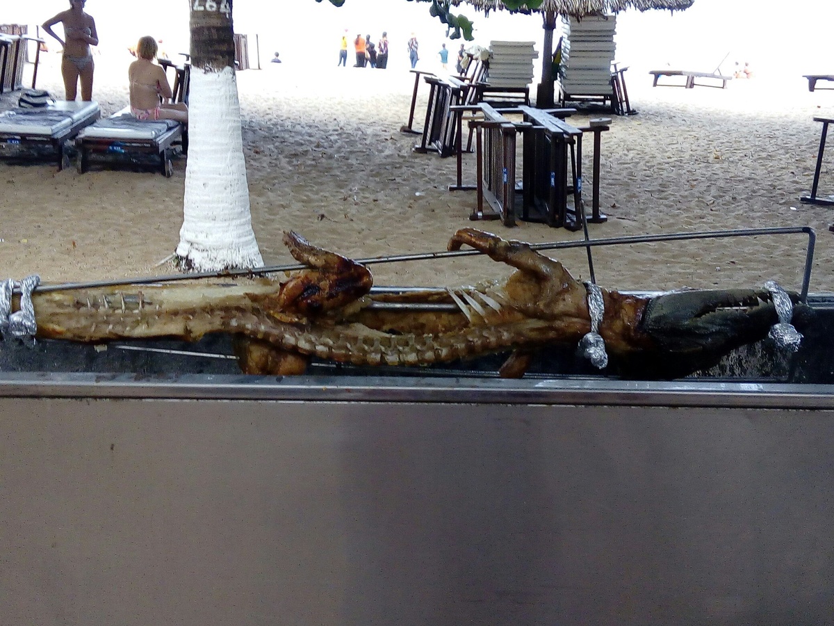 Фото автора.