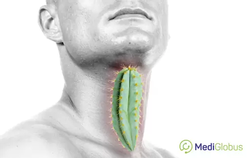 https://medicglobus.com/wp-content/uploads/2018/11/Surgery-for-throat-cancer2.jpg Иллюстрация