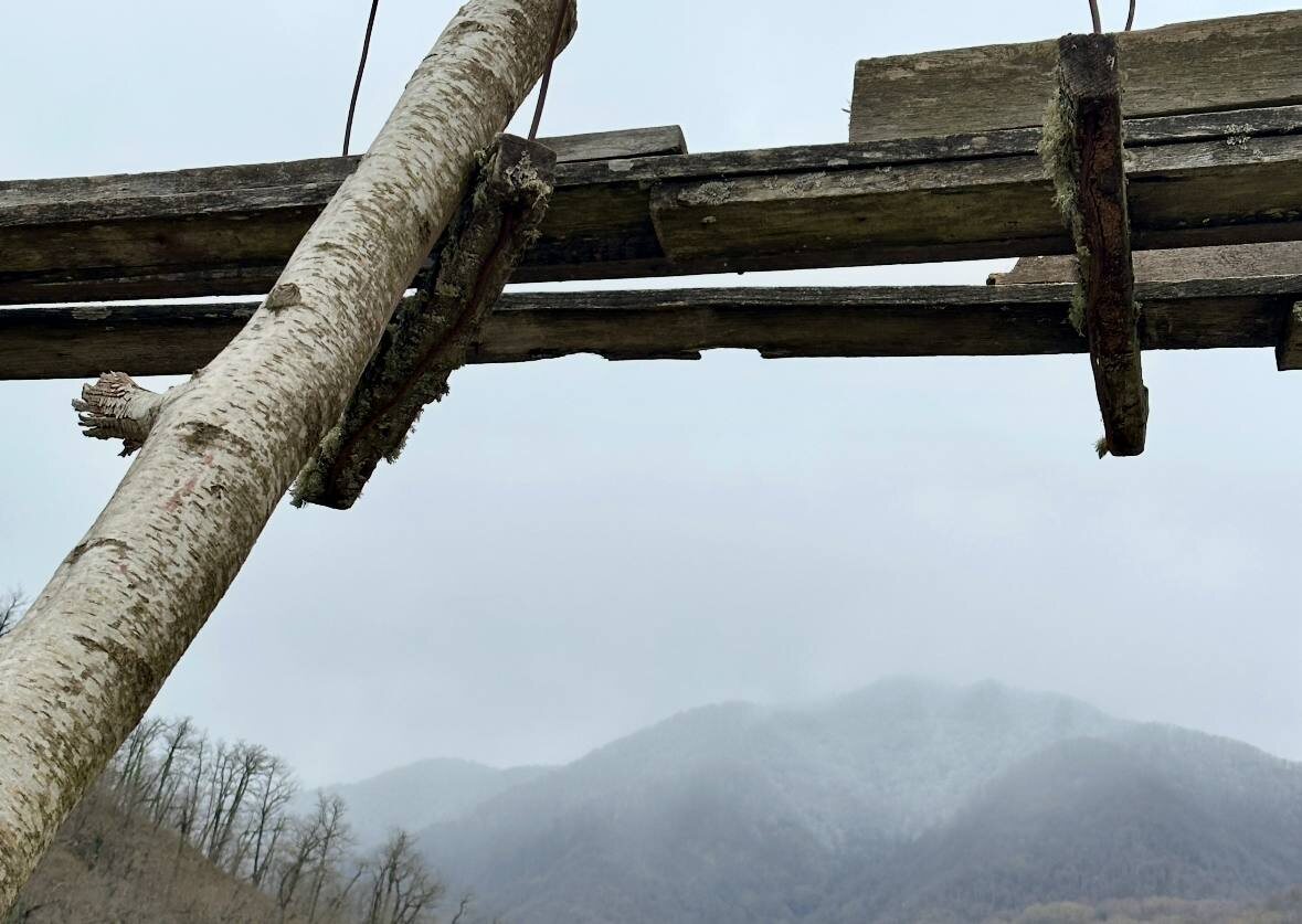По бревну видимо взбираются самые отчаянные