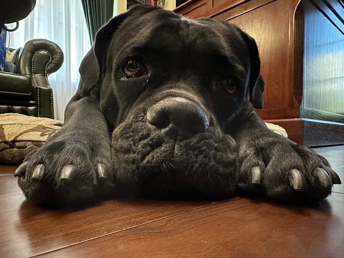 Нора Антоновна. Фото автора