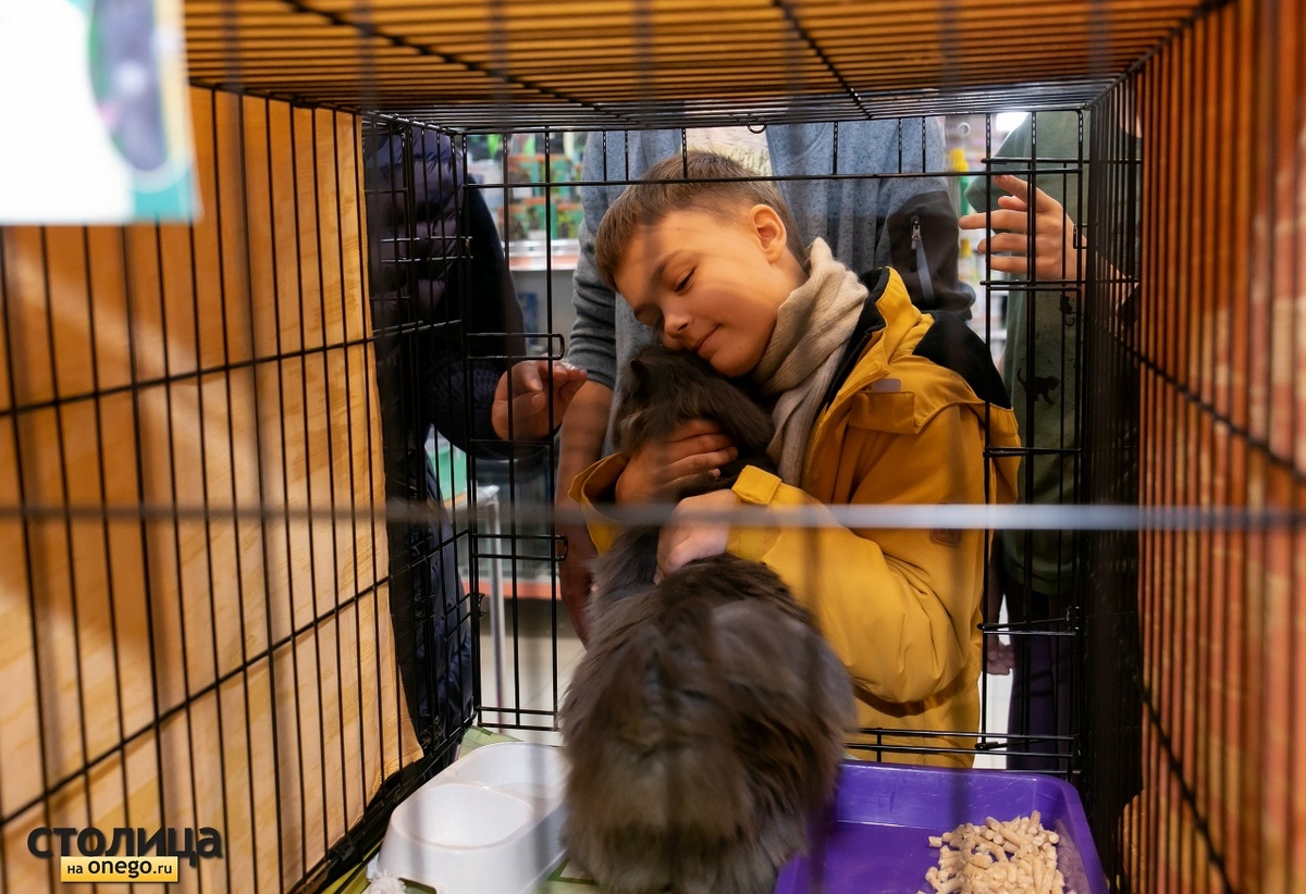    фото: Людмила Корвякова, "Столица на Онего"