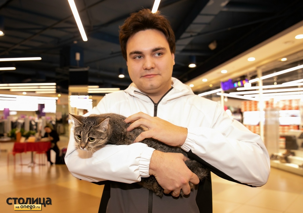    Выставка-раздача животных «Тёплые коты» проходит в ПетрозаводскеЛюдмила Корвякова, "Столица на Онего"