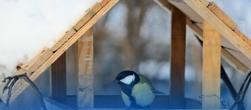    Объясняем. Республика Карелия