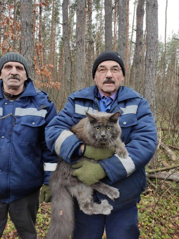    Фото: тг-канал мкр. Придонской | Воронеж