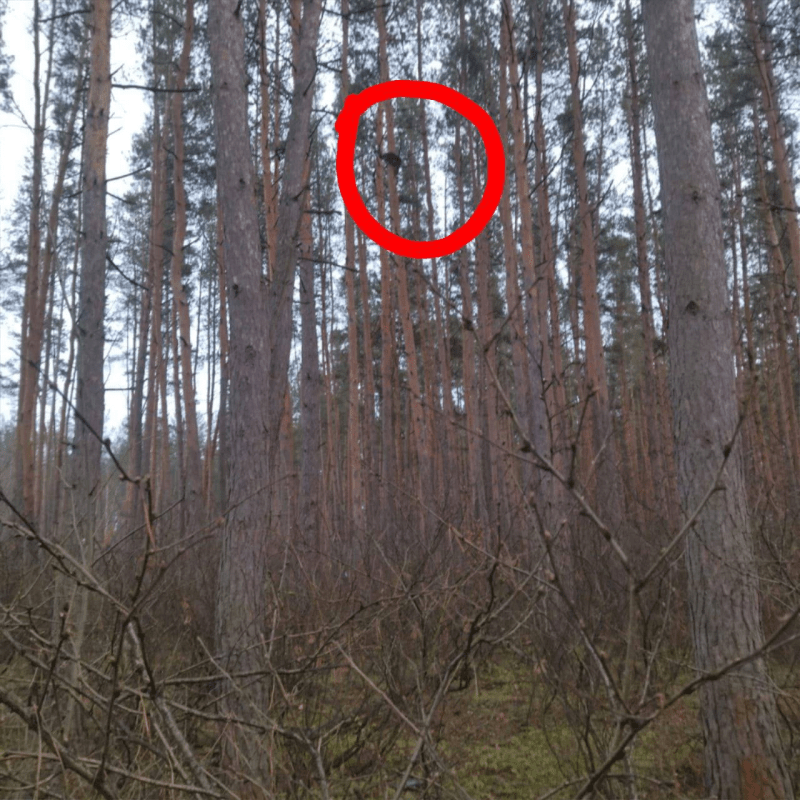    Фото: тг-канал мкр. Придонской | Воронеж