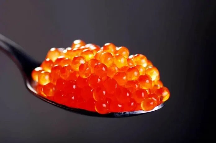    Источник фото: alterainvest.ru