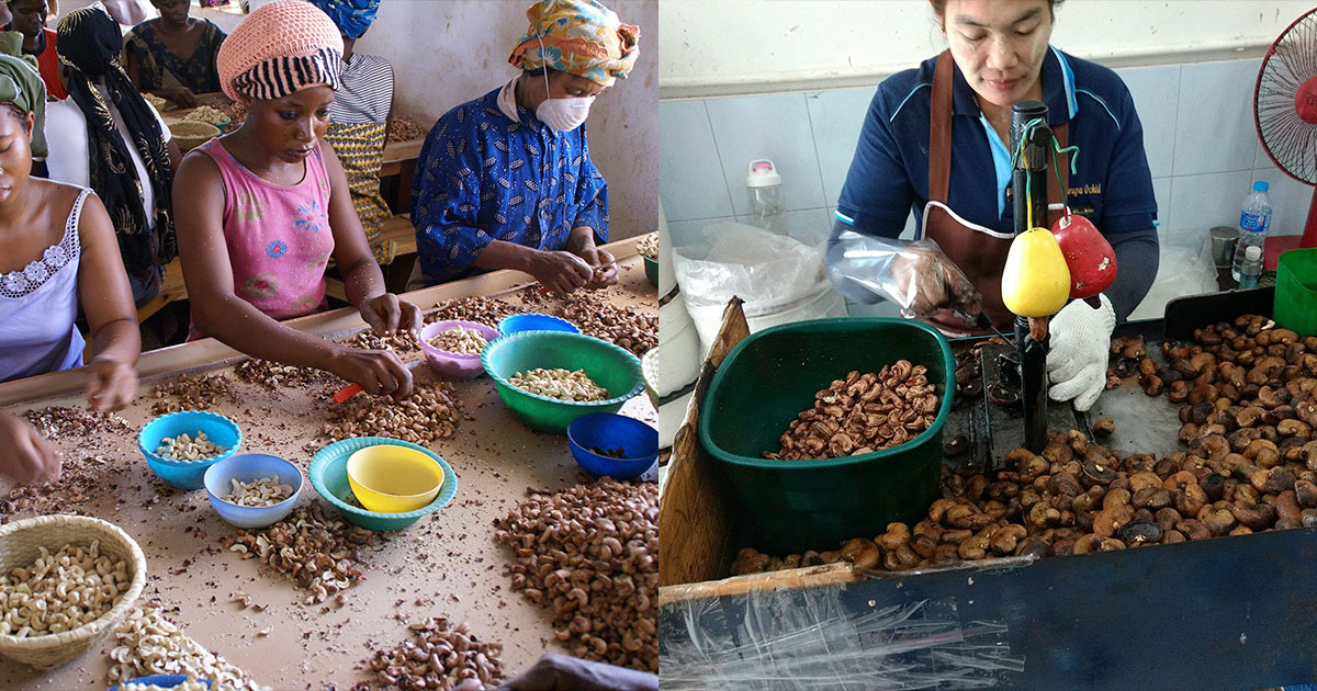 Cidse & Lauren Hudgins / Wikipedia