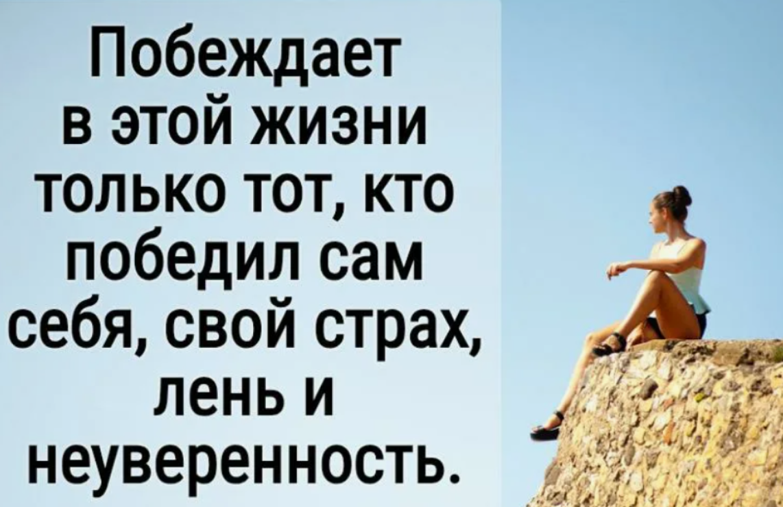 Картинка из сети Дзен