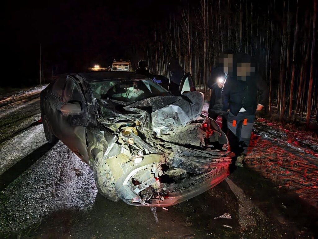    Фото: Поисково-спасательная служба КМО/VK Ульяна Бажанова