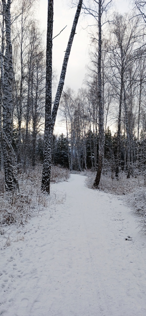 "Доброе утро, мир! Ты прекрасен!" Фото автора