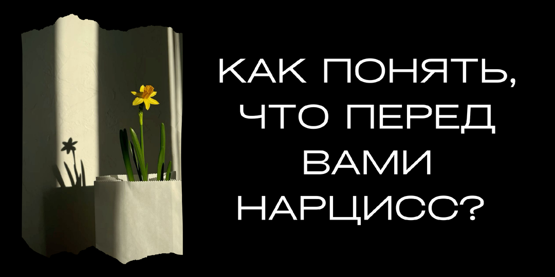 Как отличить нарциссов?