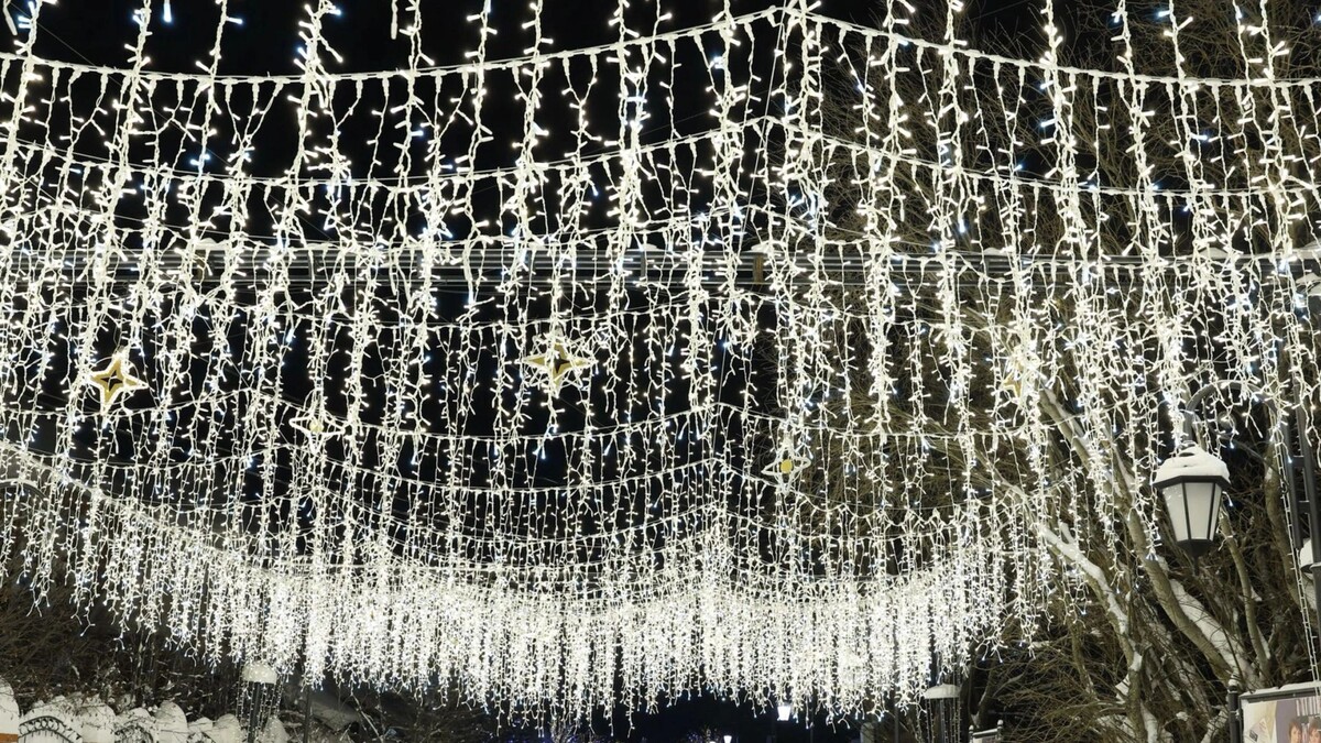    Фото: Андрей Ткачев / «Ямал-Медиа»