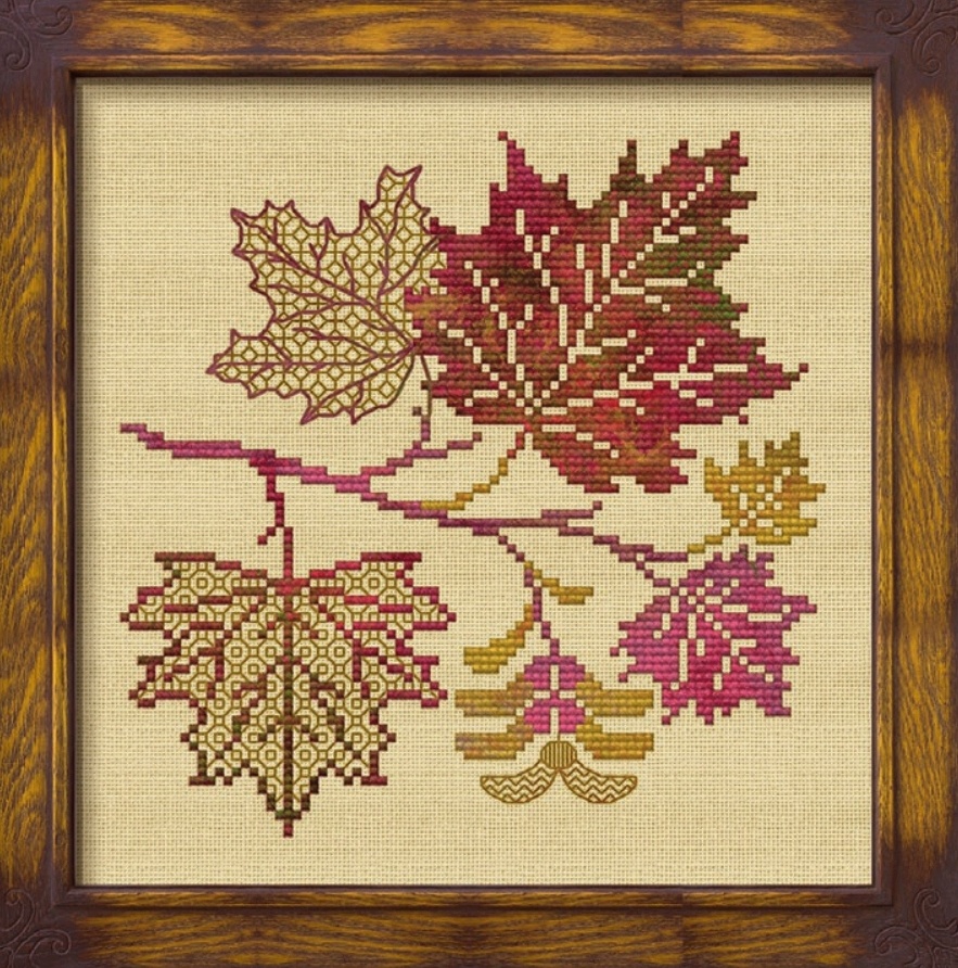 Тот самый клён. Посмотрите, какие ажурные листики! 