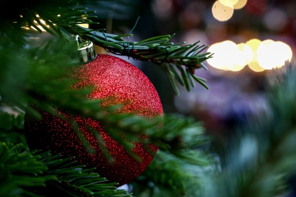    Фото © Алена Бжахова / ТАСС